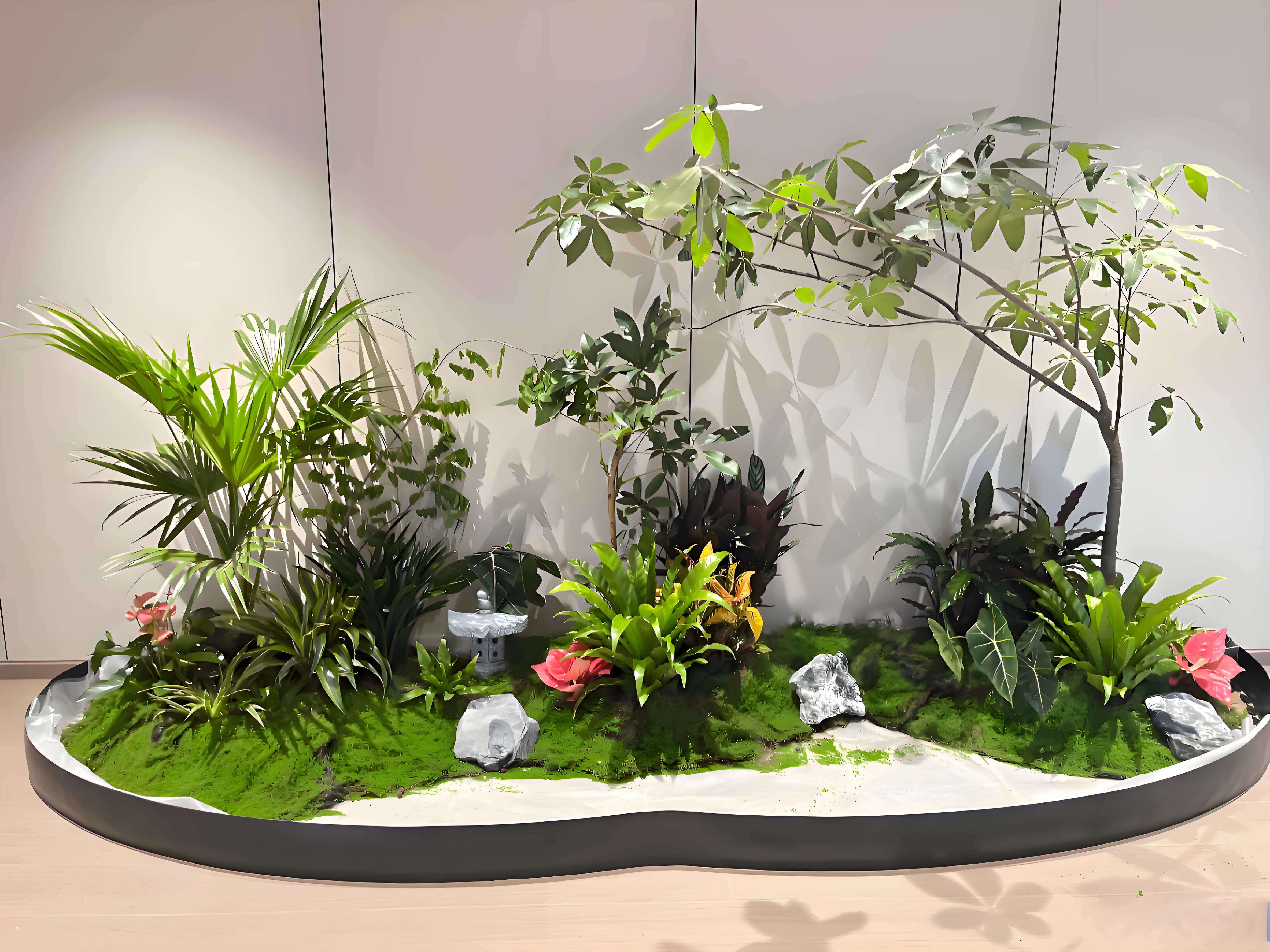 专业绿植出租在前湾，装点您的每一寸空间